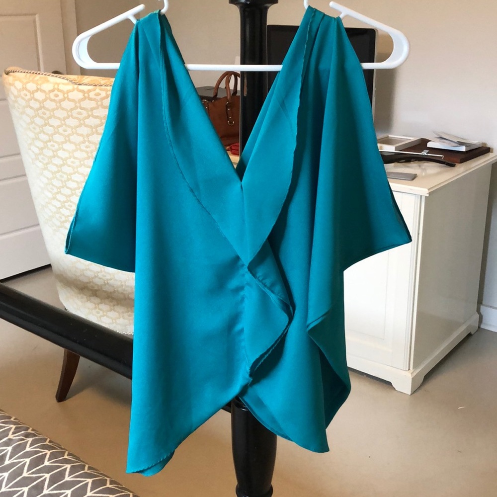 Francesca’s Teal Blouse
